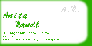 anita mandl business card